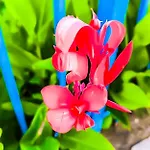 Apartamento William's - Fourth Pretty