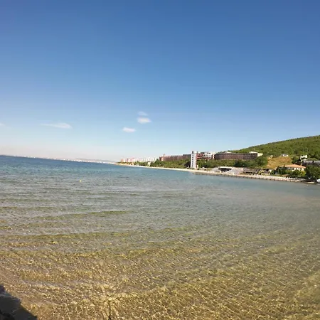 William's - Fourth Pretty * Sweti Wlas