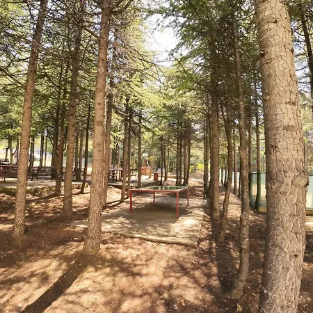 Apartment William's - Fourth Pretty Sweti Wlas