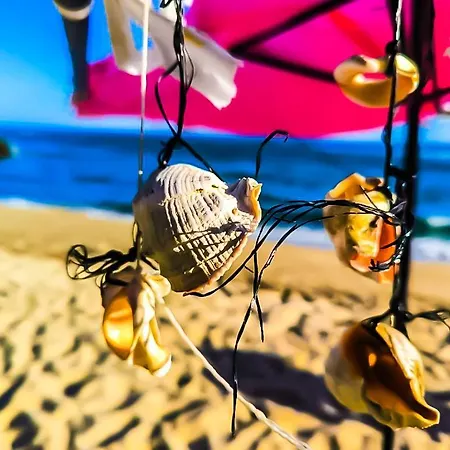 William's - Fourth Pretty Apartment