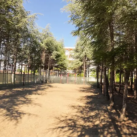 Lägenhet William's - Fourth Pretty Sveti Vlas