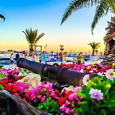 William's - Fourth Pretty