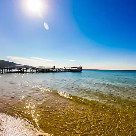 William's - Fourth Pretty 圣弗拉斯