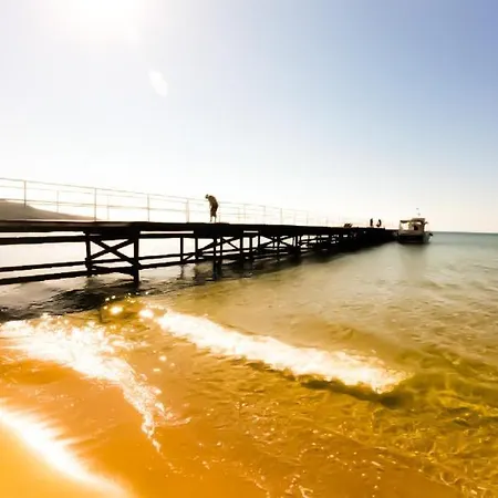 William's - Fourth Pretty 圣弗拉斯