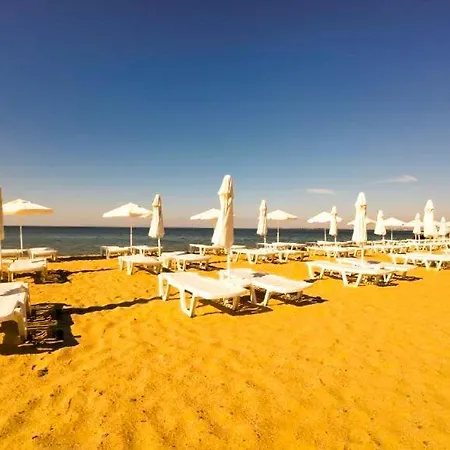 William's - Fourth Pretty 圣弗拉斯