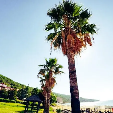 William's - Fourth Pretty * 圣弗拉斯