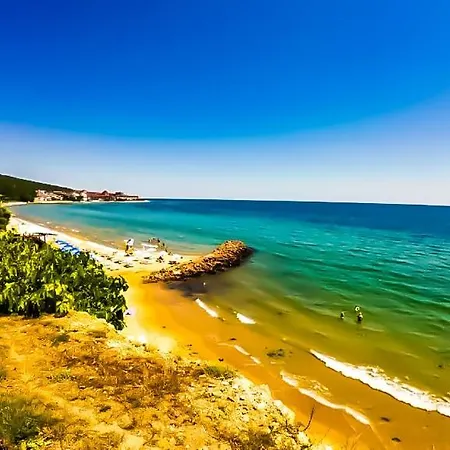 William's - Fourth Pretty 圣弗拉斯