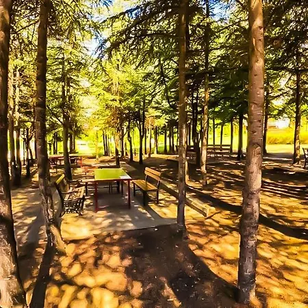 William's - Fourth Pretty * 圣弗拉斯