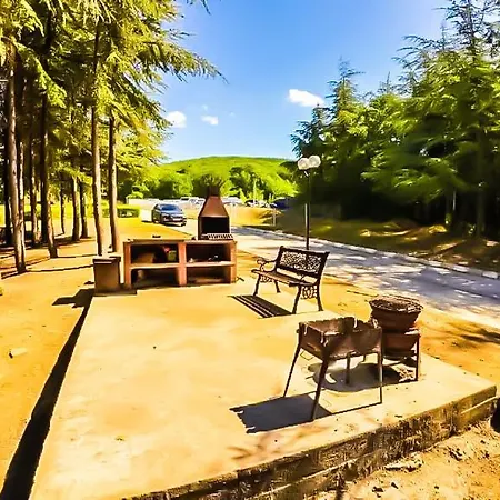 William's - Fourth Pretty 圣弗拉斯